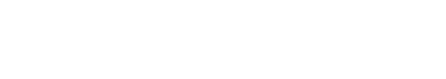NTI Logo - White
